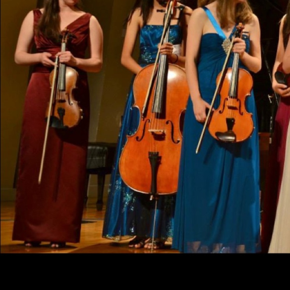 David's Bridal Floor Length Formal Gown - image 7